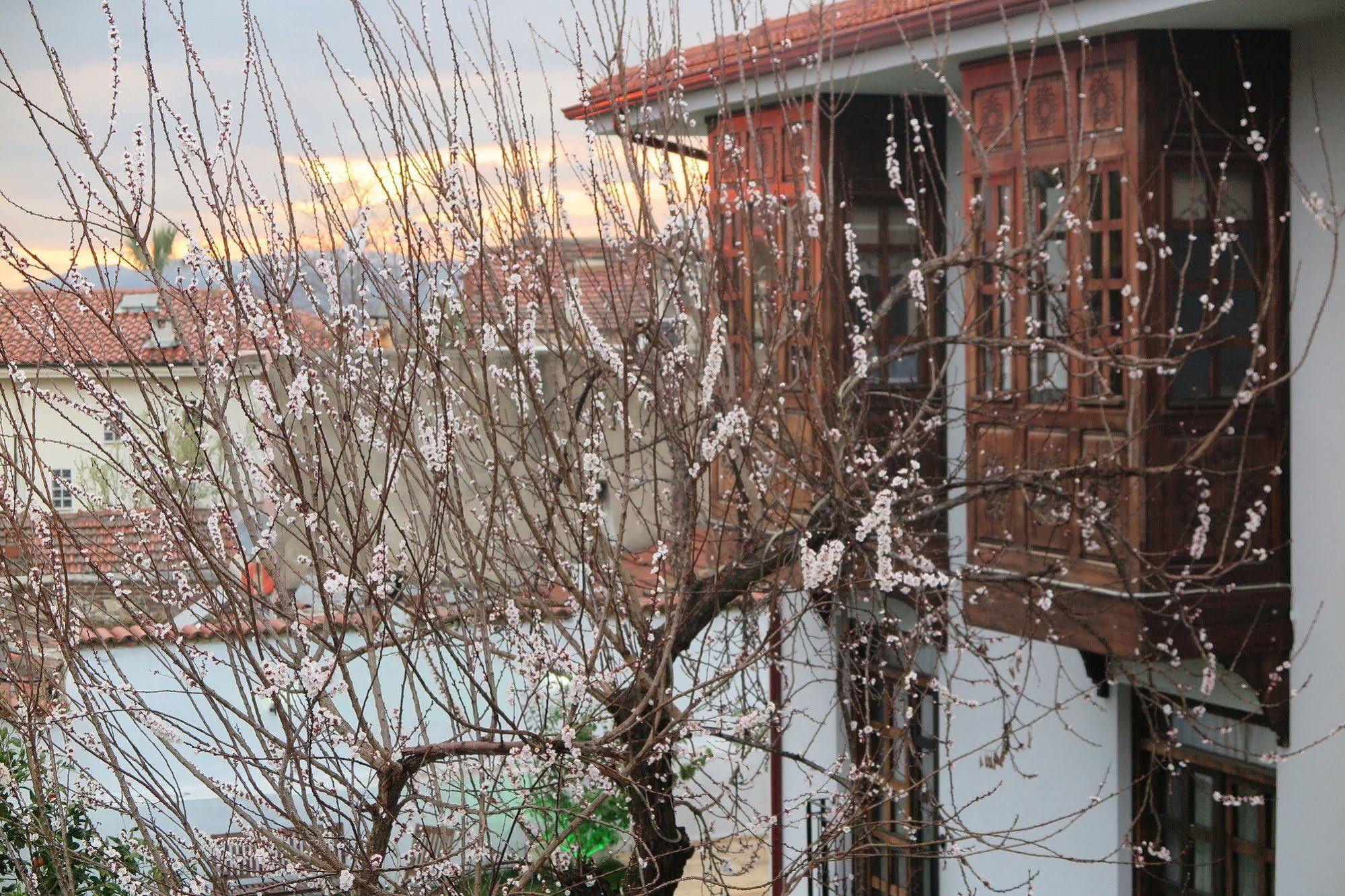 Ephesus Paradise Hotel Selçuk Esterno foto