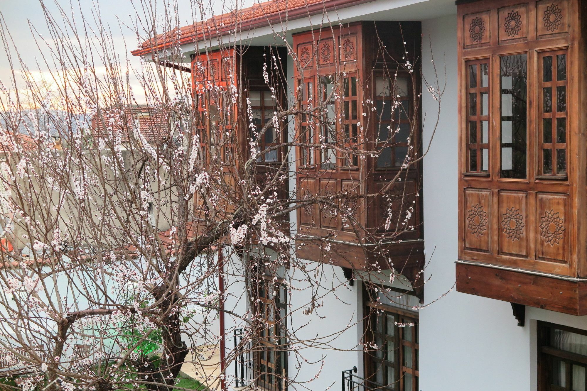 Ephesus Paradise Hotel Selçuk Esterno foto